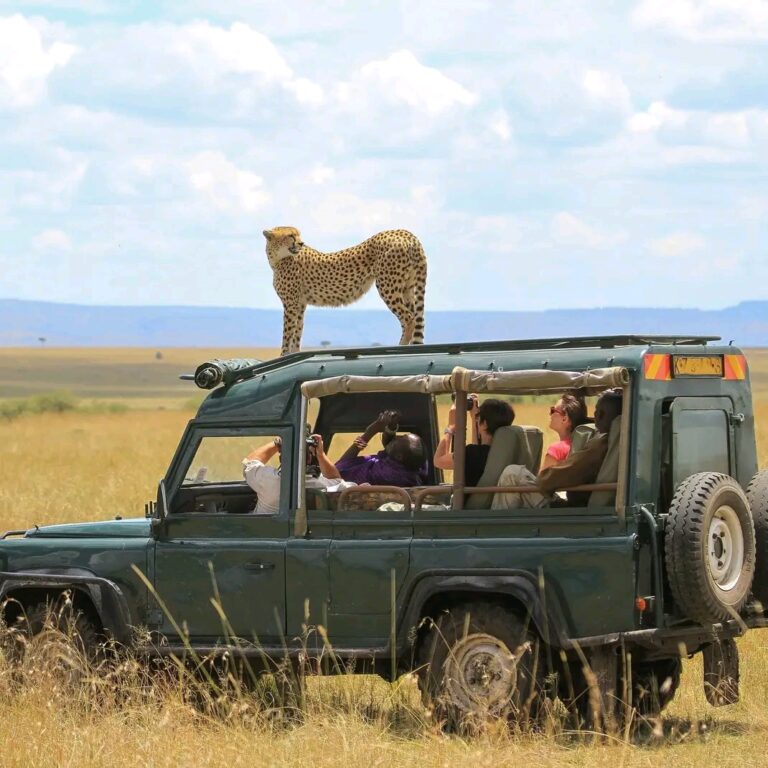 Serengeti, Tarangire & Ngorongoro - 4 Days / 3 Nights Safari